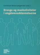 Drenge og maskuliniteter i ungdomsuddannelserne