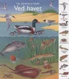 Ved havet