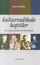 Kulturradikale kapitler