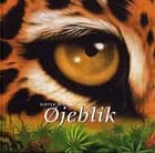 Øjeblik