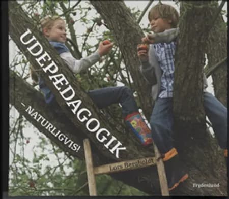 Udepædagogik af Lars Bergholdt