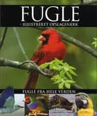 Fugle