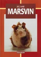 Jeg har marsvin