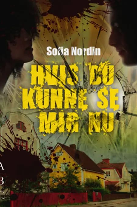Hvis du kunne se mig nu af Sofia Nordin