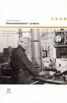 Virksomhedsteori i praksis af Povl Erik Jensen
