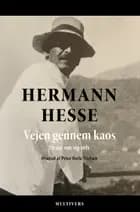 Vejen gennem kaos