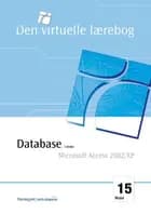 Database, udvidet - Microsoft Access 2002/XP