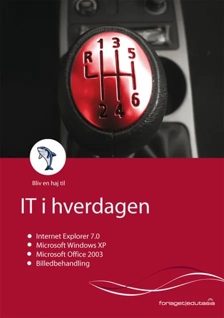 Microsoft Office 2003, IT i hverdagen af Lone Riemer