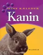 Kanin