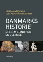 Danmarkshistorie mellem erindring og glemsel