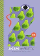 ZIGZAG Matematik 1B