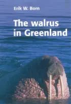 The walrus in Greenland