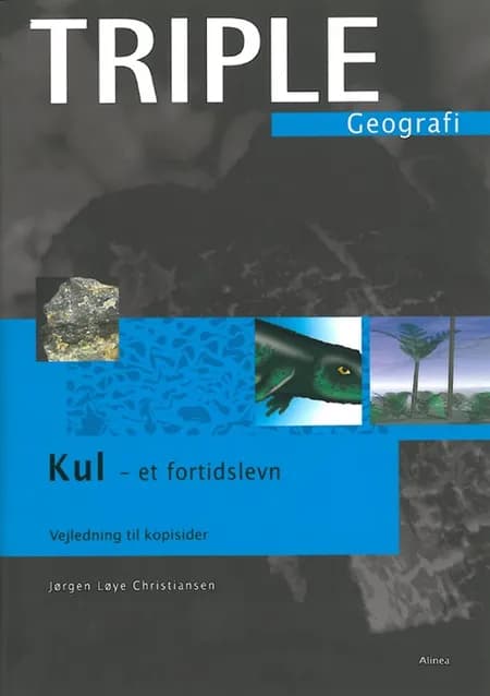 Kul - et fortidslevn af Jørgen Løye Christiansen