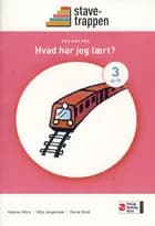 Stavetrappen 3 Hvad har jeg lært? - opsamling