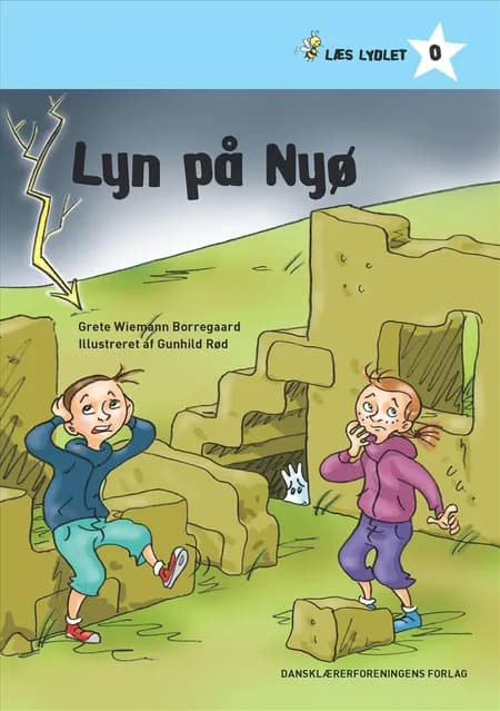 Lyn på Nyø af Grete Wiemann Borregaard