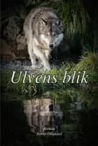 Ulvens blik