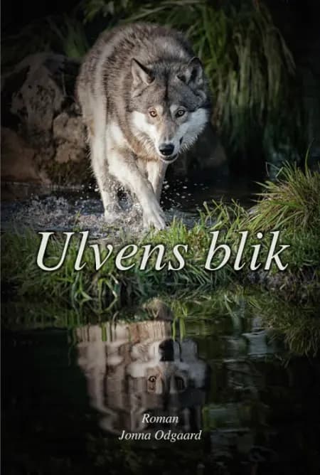 Ulvens blik af Jonna Odgaard