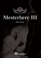 Mesterlære III
