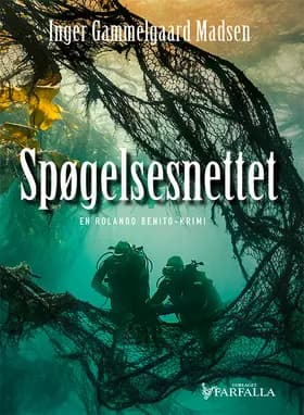 Spøgelsesnettet af Inger Gammelgaard Madsen
