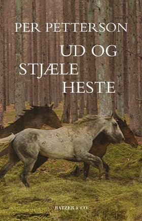 Ud og stjæle heste af Per Petterson