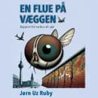 En flue på væggen