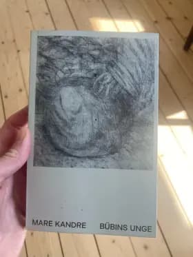 Bübins unge af Mare Kandre