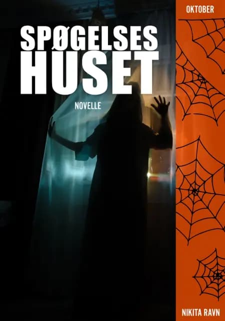 Spøgelseshuset af Nikita Ravn
