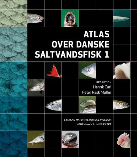 Atlas over danske saltvandsfisk af Peter Rask Møller
