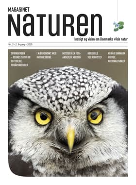 Magasinet Naturen Nr. 3 - 2025 af Morten Top