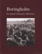 Boringholm 