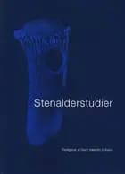 Stenalderstudier 