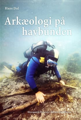 Arkæologi på havbunden af Hans Dal
