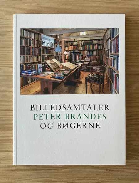 Billedsamtaler. Peter Brandes og bøgerne af Peter Brandes