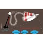 Fjerens rejse af Cao Wenxuan