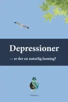 Depressioner af John Buhl
