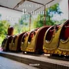 Bertram #4: Tre Engle og Fem Løver af Bjarne Reuter