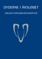 Dyderne i årsløbet
