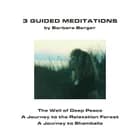3 guided meditations af Barbara Berger