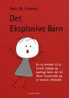 Det Eksplosive Barn