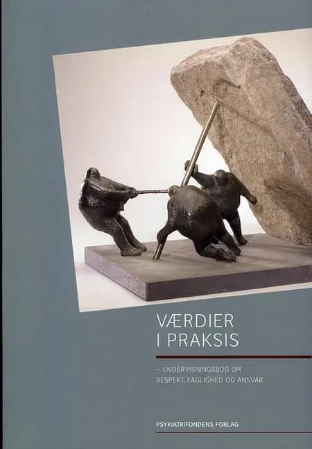 Værdier i praksis af PsykiatriFonden