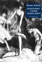 Sanatoriet under timeglasset af Bruno Schulz