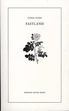 Fastland af Stinne Storm