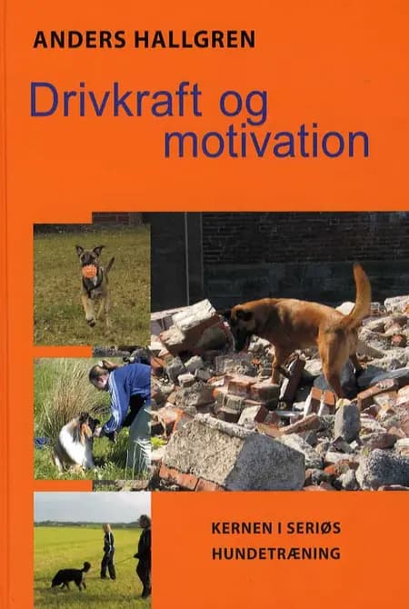 Drivkraft og motivation af Anders Hallgren