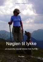 Nøglen til lykke af Anders Hallgren