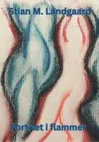 Portræt i flammer af Stian M. Landgaard