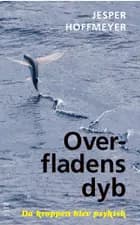 Overfladens dyb