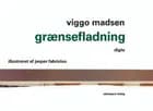 Grænsefladning
