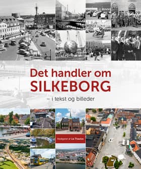 Det handler om Silkeborg af Lis Thavlov