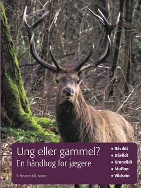 Ung eller gammel? af Bernd Krewer
