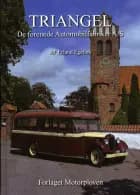 Triangel af Erland Egefors